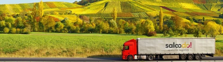 LKW für Weintransport fährt zum Transport von Wein auf einer Straße vor einem Weinberg