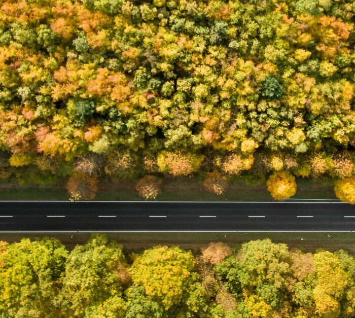 Full load, full benefits: Shipping as a Full Truck Load (FTL) in Road Freight Transport